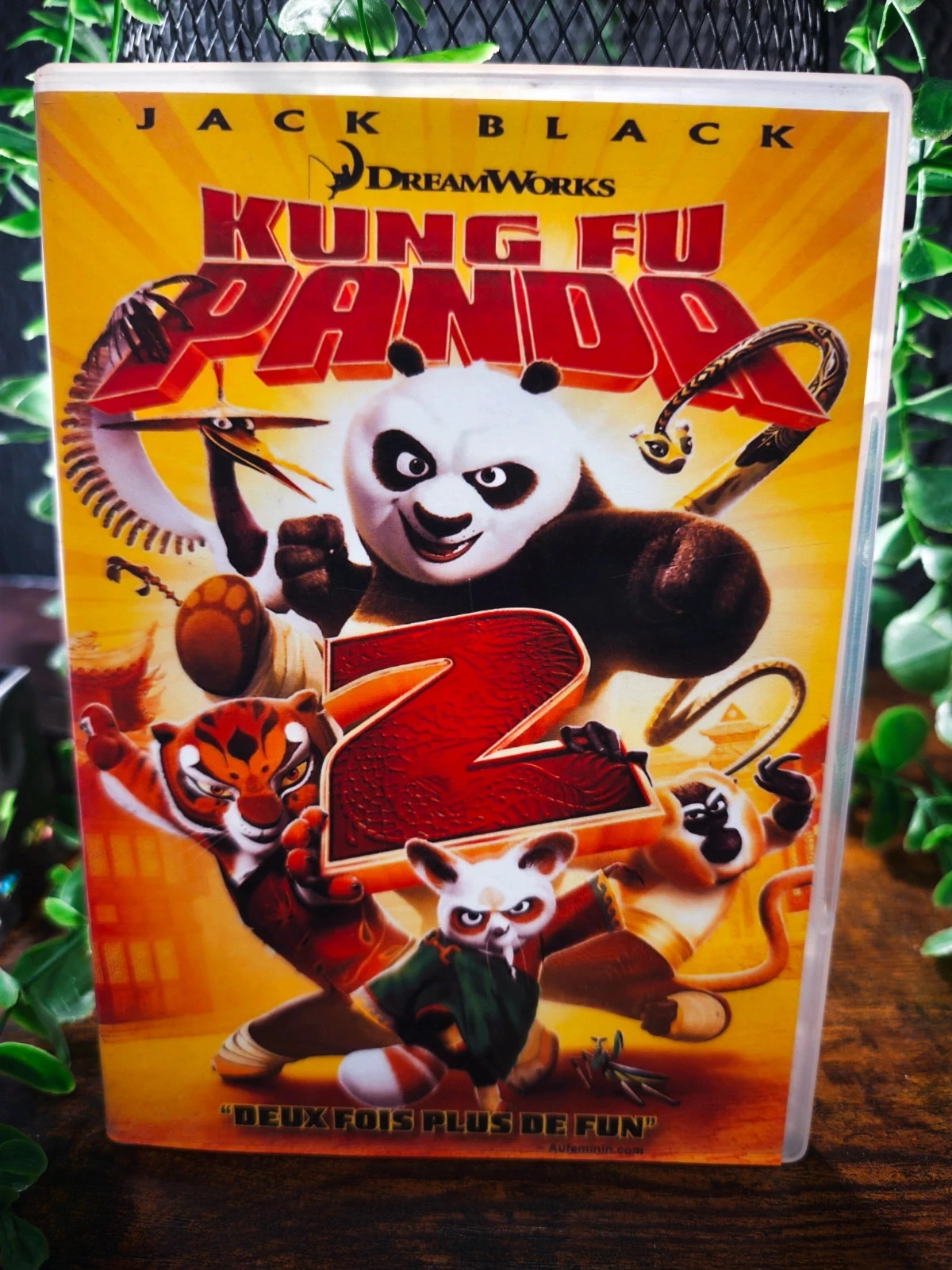 Kung fu panda 🐼 2